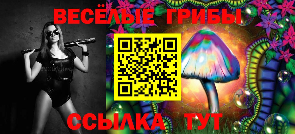 Псилоцибиновые грибы мицелий  Вход с VPN  магазин  наркотиков  Псилоцибиновые грибы Cubensis  Озёры 