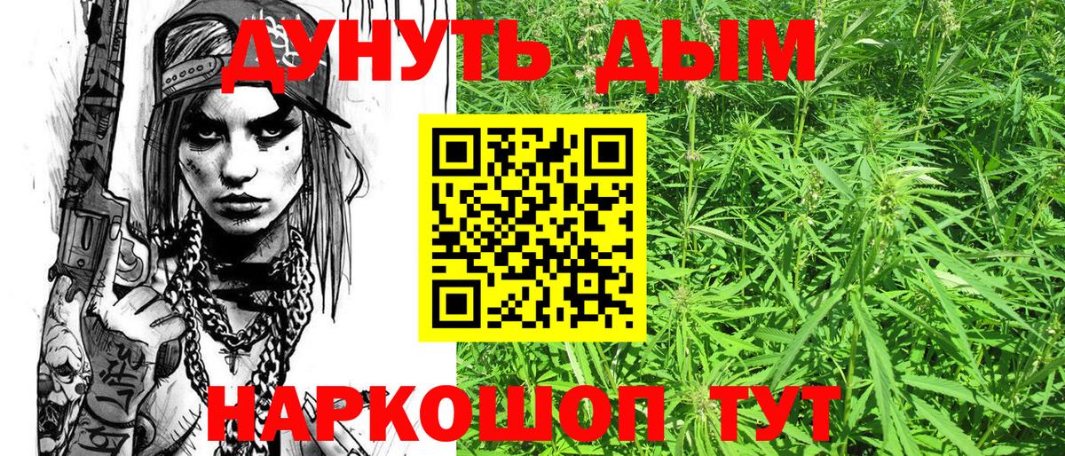 Канабис конопля  Вход с VPN  МАРИХУАНА индика  Озёры  Каннабис сатива 